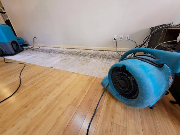 Professional Flood Damage Cleanup technician working in Pike, NH